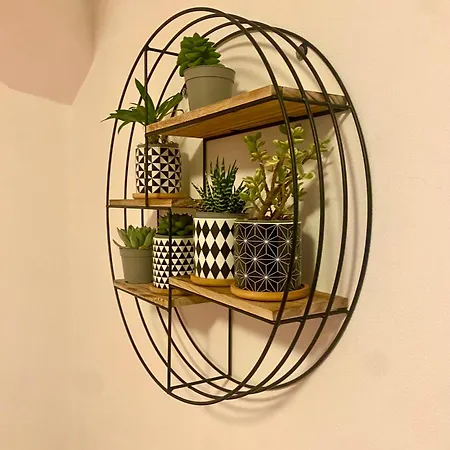 Апартаменты Casina Del Giuggiolo *